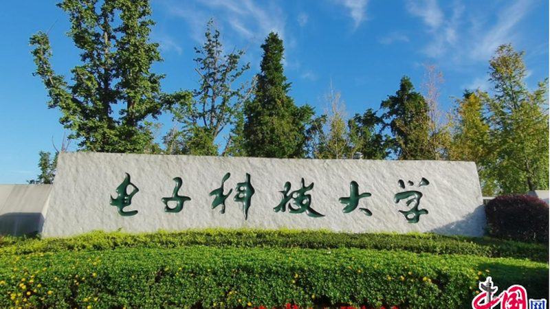 贵州电子科技服务有限公司