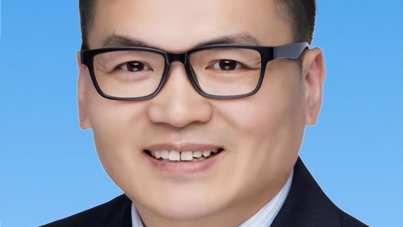 稳压二极管：揭秘其价格背后的因素